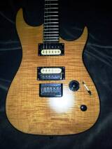 Godin Redline HB