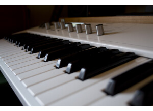 Waldorf Blofeld Keyboard (65942)
