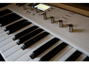 Waldorf Blofeld Keyboard (30616)