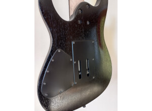 IMG 20221112 125332 HDR