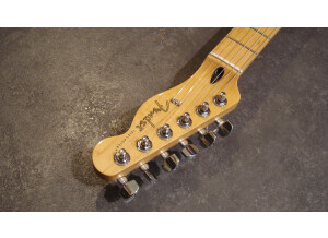 Fender Player Telecaster (72569)