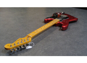 Fender Stratocaster Japan (41979)