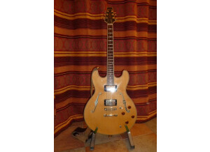 Aria Guitars Pro II TA-65