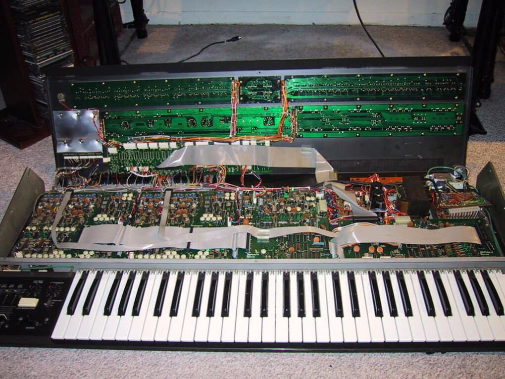 5395211.jpeg 5395211.jpeg