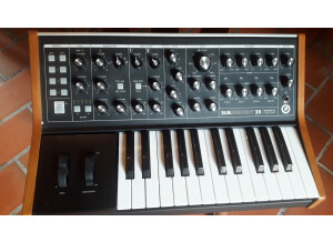 Moog Music Subsequent 25 (72754)