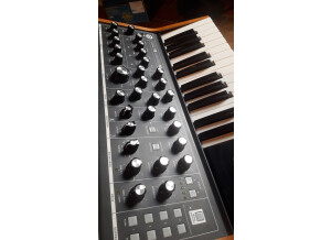 Moog Music Subsequent 25 (80781)
