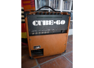 Roland Cube 60 Vintage (71530)