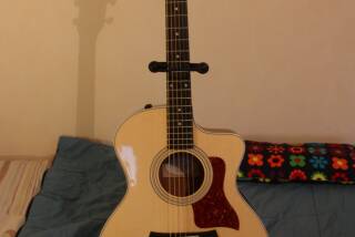 Taylor 214ce