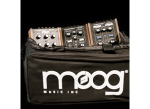 Moog Music Moog Multi-Purpose Gig Bag (21764)