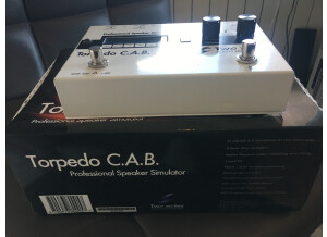 Two Notes Audio Engineering Torpedo C.A.B. (Cabinets in A Box) (46665)