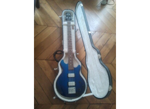 Gibson Les Paul Money Bass (13193)