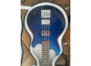 Gibson Les Paul Money Bass (98063)