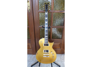 LTD EC-256 - Aged Vintage Gold (42385)