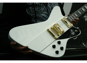 Vulture Premium Body