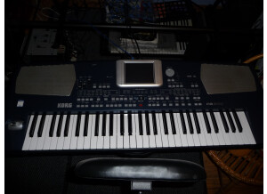 Korg Pa500 (14926)