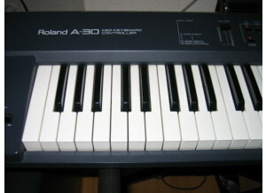 Roland A-30 (56148)
