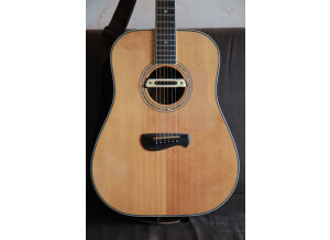 Tacoma Guitars DR28 (58747)