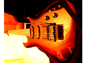 Ibanez Roadstar Pro 540 R (95121)