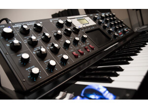 Moog Music Minimoog Voyager (92231)
