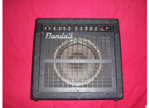 Randall RGT 100 (15948)