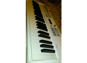 M-Audio Venom (4749)