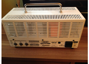 Orange TinyTerror TT15H