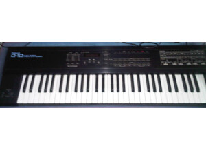 Roland D-10 (71219)