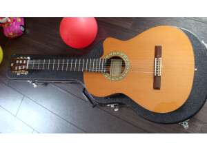 Alhambra Guitars 5P CT E2 (96944)
