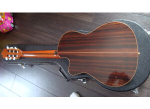 Alhambra Guitars 5P CT E2 (81736)