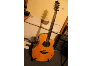 Yamaha APX9C (60648)