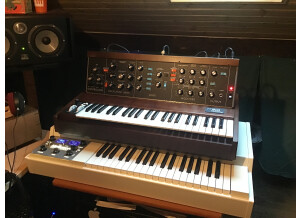 Moog Music Minimoog Model D (2022) (82722)