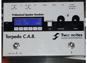 Two Notes Audio Engineering Torpedo C.A.B. (Cabinets in A Box) (89398)
