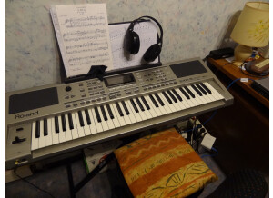 Roland EXR-5 (24582)