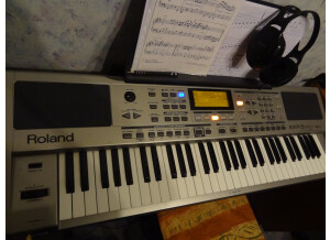 Roland EXR-5 (17366)