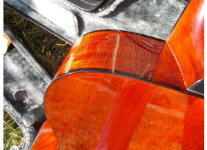 Eastman - Handcrafted Guitars E10-OM