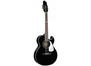Fender john5 acoustic