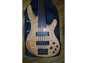 Yamaha TRB5FII (43492)