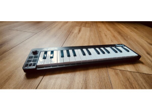 Alesis Qmini