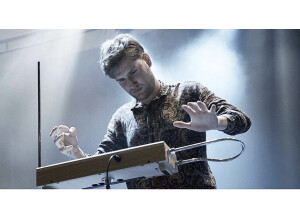 Moog Music Etherwave Theremin Plus (88678)