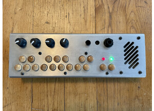 Critter and Guitari Pocket Piano (89299)