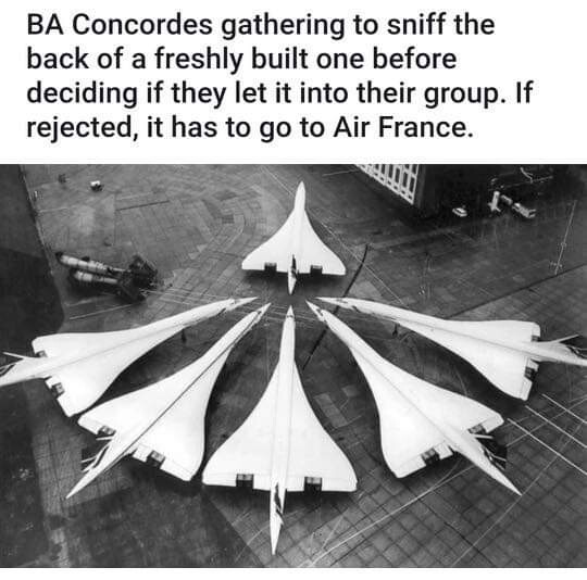 5495685.jpg 5495685.jpg