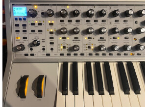 Moog Music Subsequent 37 CV