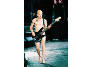 flea2