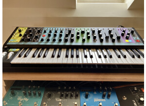 Moog Music Matriarch (98323)