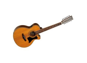 Tanglewood TW 145/12SC