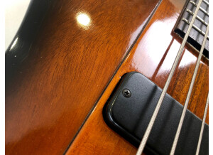 Gibson Thunderbird IV (76899)