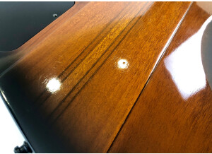 Gibson Thunderbird IV (42493)