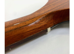 Gibson Thunderbird IV (82098)