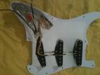 Tornade MS Pickups Strat Pickups "Gilmourish" Set