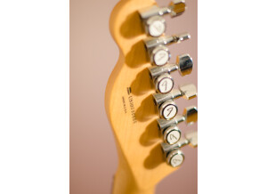 Fender American Deluxe Telecaster - Tungsten Rosewood